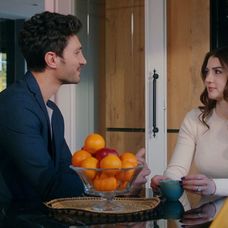 Láska, rozum, pomsta