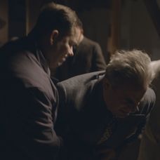 holubec nakladacka.jpg_bez_watermarku_1