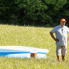 Farmári sa pri hre o odmenu schladili v bazéne, Timo mohol nakupovať