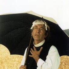 Slunce, seno, jahody