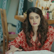 Veľvyslancova dcéra