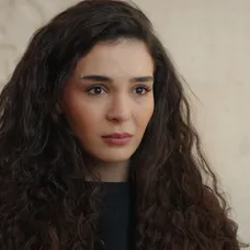 Spútaný motýľ
