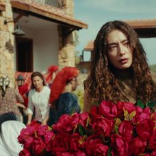 Veľvyslancova dcéra