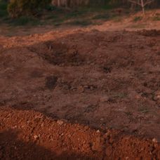 Zachránené životy