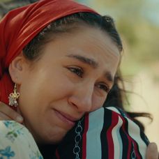 Veľvyslancova dcéra