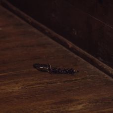 Laura a Andrej zviedli búrlivý súboj.