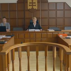 Sudkyňa verí, že pôjde všetko hladko.