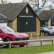 profimedia-0857745100