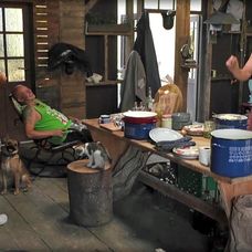 Roman chce oženiť Adama