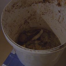 Špina v domácnosti v Zámene manželiek