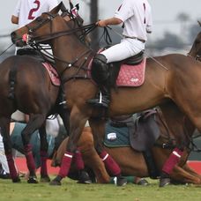 Princ Harry na póle