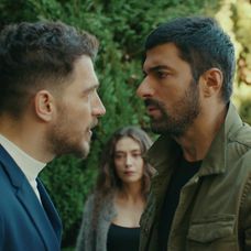 Veľvyslancova dcéra