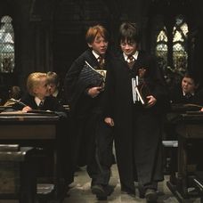 Harry Potter a Kameň mudrcov