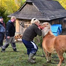 Janina rodina na Farme
