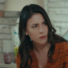 Veľvyslancova dcéra