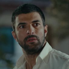 Veľvyslancova dcéra