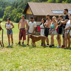 Farmárov čaká poriadna šichta, 22. deň na statku