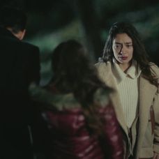 Veľvyslancova dcéra