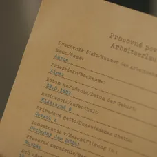 Povolenie, ktoré Holubec roztrhal
