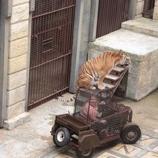 Pomóc, čo mám teraz robiť?