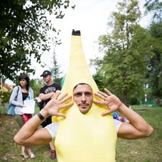 Ako pomôcť psovi zvládnuť oslavy Silvestra?