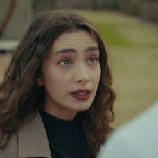 Veľvyslancova dcéra