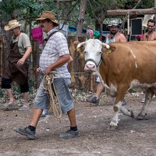 Malina sa vracia na Farmu