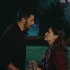 Veľvyslancova dcéra