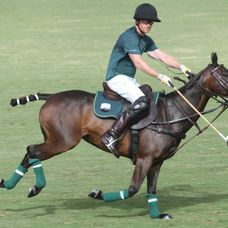 Princ Harry na póle