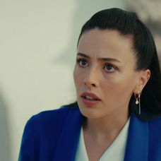 Veľvyslancova dcéra