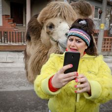 Ťaviak Ali v Hornej Dolnej