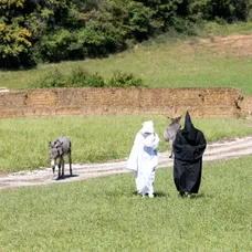 Na Farmu prišli dve zamaskované osoby