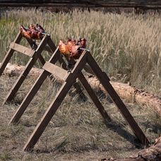 O všetkom rozhodnú dve pečené prasiatka