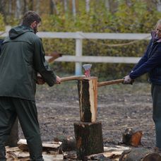 Veľké rúbanie na Farme