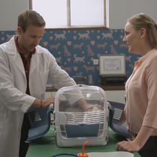 Tomáš to zo zvieratami vie, Rómeo si pri ňom spokojne priadol.