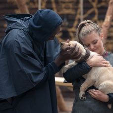Farma dostala roztomilú posilu
