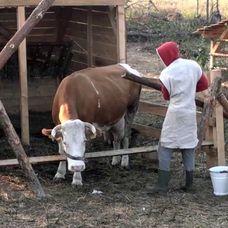 Jura poriadne vycvičila Malina