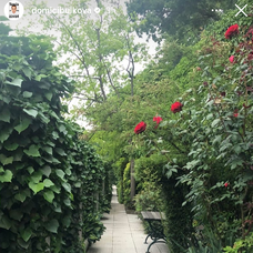 Záhrada pri pôrodnici