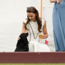 Vojvoda a vojvodkyňa z Cambridge