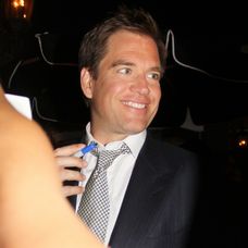 Michael Weatherly