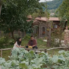 Zachránené životy