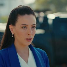 Veľvyslancova dcéra