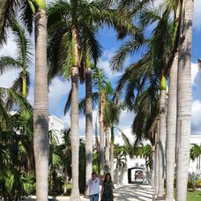 Janka a Jožo v Mexiku