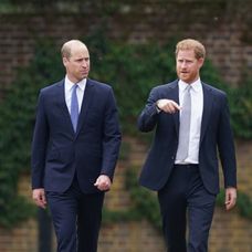 Princovia Harry a William