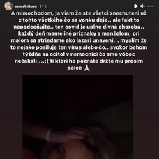 Na snímke kapitán Peter Čerešňák v zápase Slovensko - Švajčiarsko na Nemeckom pohári 2019 v Krefelde.