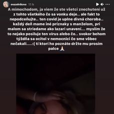 Na snímke kapitán Peter Čerešňák v zápase Slovensko - Švajčiarsko na Nemeckom pohári 2019 v Krefelde.