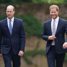 Princovia Harry a William