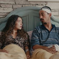 Veľvyslancova dcéra