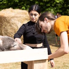 Druhý deň na Farme