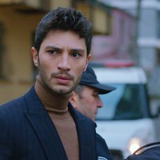 Láska, rozum, pomsta